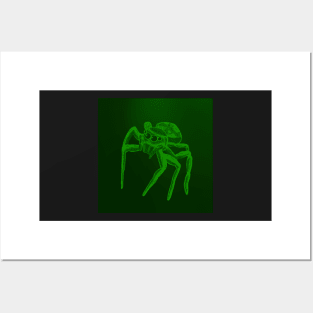 Jumping Spider Drawing V20 (Green 2) Posters and Art